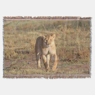 Africa, Tanzania, Serengeti. Lion And Lioness Throw Blanket