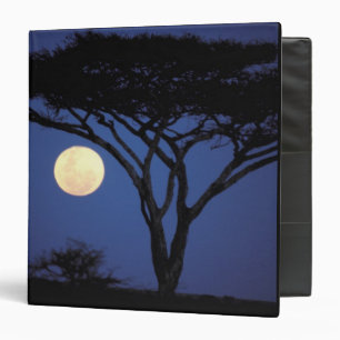 Africa, Tanzania, Tarangire. Acacia tree in Binder