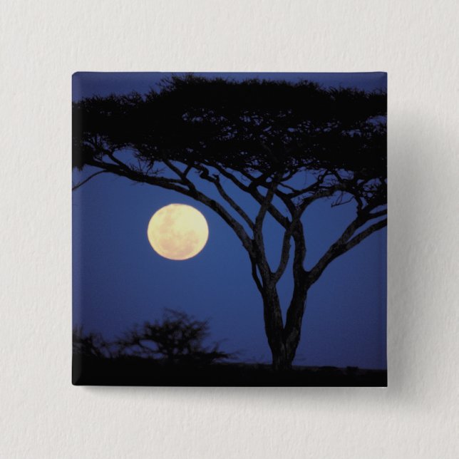 Africa, Tanzania, Tarangire. Acacia tree in Pinback Button (Front)