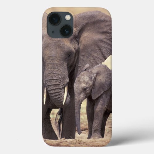 Africa Tanzania Tarangire National Park 2 iPhone 13 Case