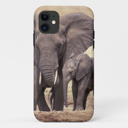 Africa Tanzania Tarangire National Park 2 iPhone 11 Case
