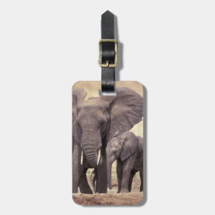 Africa, Tanzania, Tarangire National Park. 2 Luggage Tag