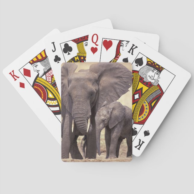 Africa, Tanzania, Tarangire National Park. 2 Poker Cards (Back)