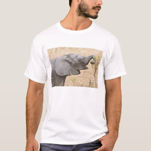 Africa. Tanzania. Young Elephant at Tarangire T-Shirt