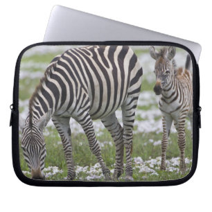 Africa. Tanzania. Zebra mother and colt Laptop Sleeve