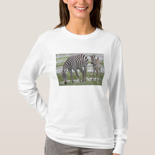 Africa. Tanzania. Zebra mother and colt T-Shirt (Front)