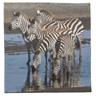 Africa. Tanzania. Zebras drinking at Ndutu Cloth Napkin