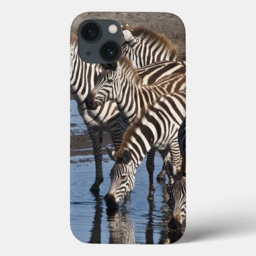 Africa Tanzania Zebras drinking at Ndutu in iPhone 13 Case