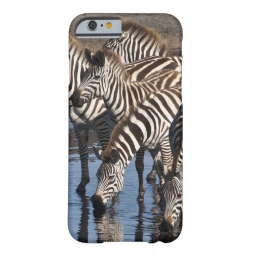 Africa Tanzania Zebras drinking at Ndutu in Barely There iPhone 6 Case