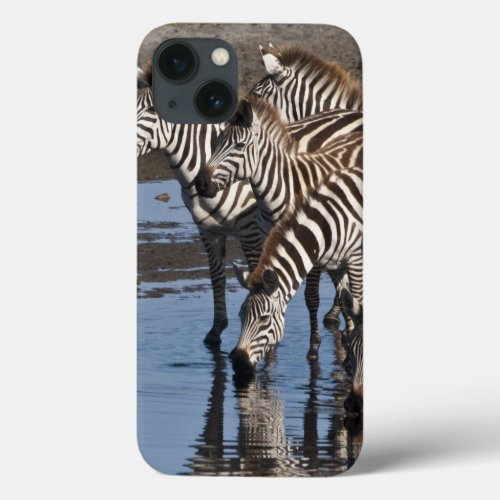 Africa Tanzania Zebras drinking at Ndutu in iPhone 13 Case