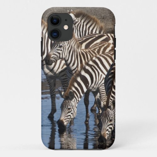 Africa Tanzania Zebras drinking at Ndutu in iPhone 11 Case