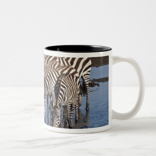 Africa Tanzania Zebras drinking at Ndutu in Two_Tone Coffee Mug