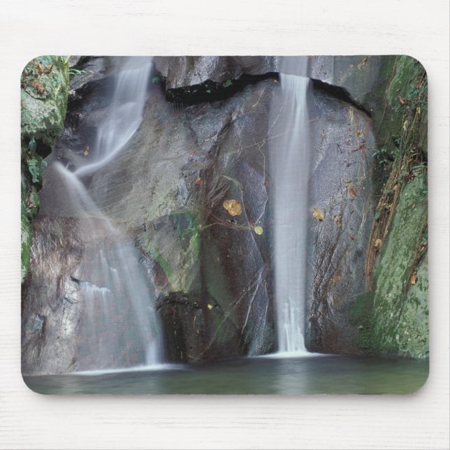 Africa, Uganda, Bwindi Impenetrable rainforest, Mouse Pad (Front)