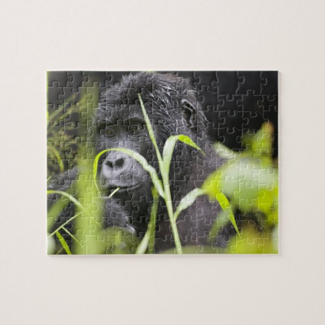 Africa Uganda, Bwindi Jigsaw Puzzle (Horizontal)
