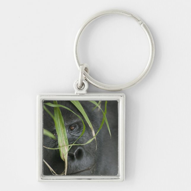 Africa, Uganda, Bwindi Keychain (Front)