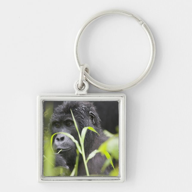 Africa Uganda, Bwindi Keychain (Front)