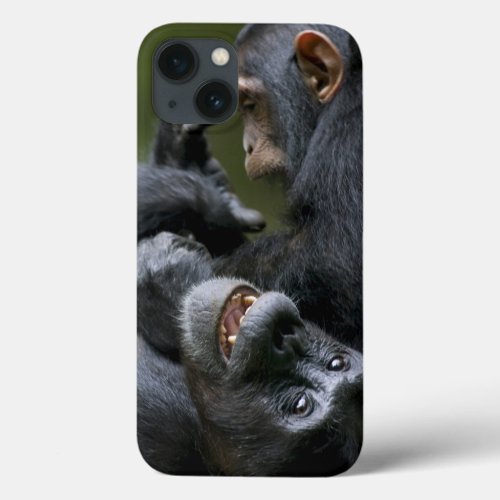 Africa Uganda Kibale Forest Reserve Juvenile 2 iPhone 13 Case