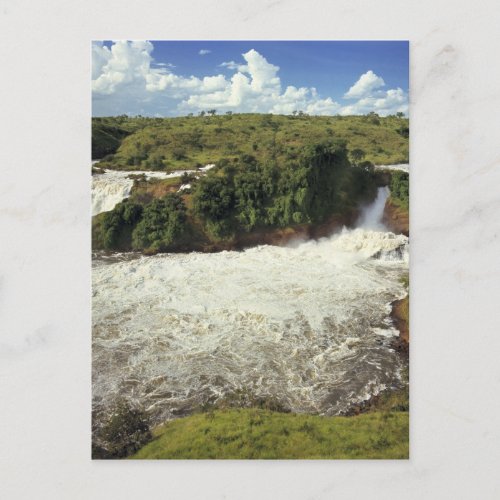 Africa Uganda Murchison Falls NP The frothy Postcard