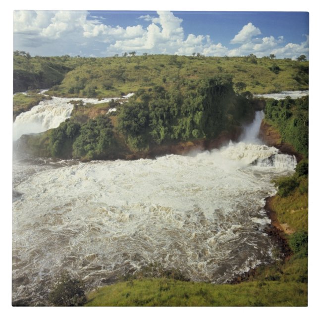 Africa, Uganda, Murchison Falls NP. The frothy Tile (Front)