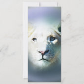 Africa White Lion Blue Eyes (Front)