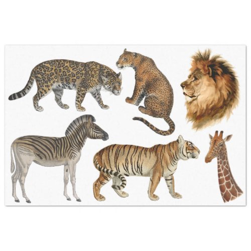 Africa Wild Animals Lion Leopard Vintage Decoupage Tissue Paper