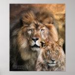 Africa - Wild Generations Art Poster/Print Poster