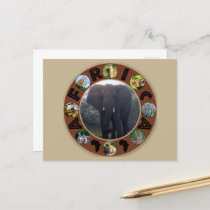 Africa Wildlife Circle Elephant Mist Postcard