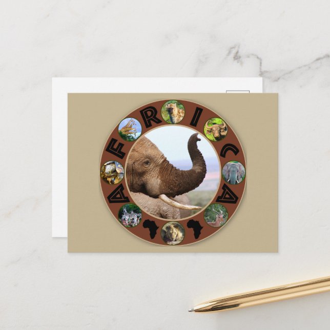 Africa Wildlife Circle Elephant Scents Postcard (Front/Back In Situ)
