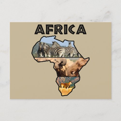 Africa Wildlife Continent Collage Holiday Postcard