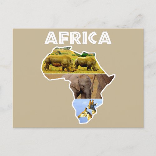 Africa Wildlife Continent Collage Holiday Postcard