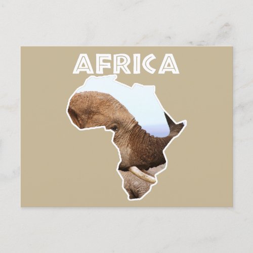 Africa Wildlife Continent Elephant Scents Holiday Postcard