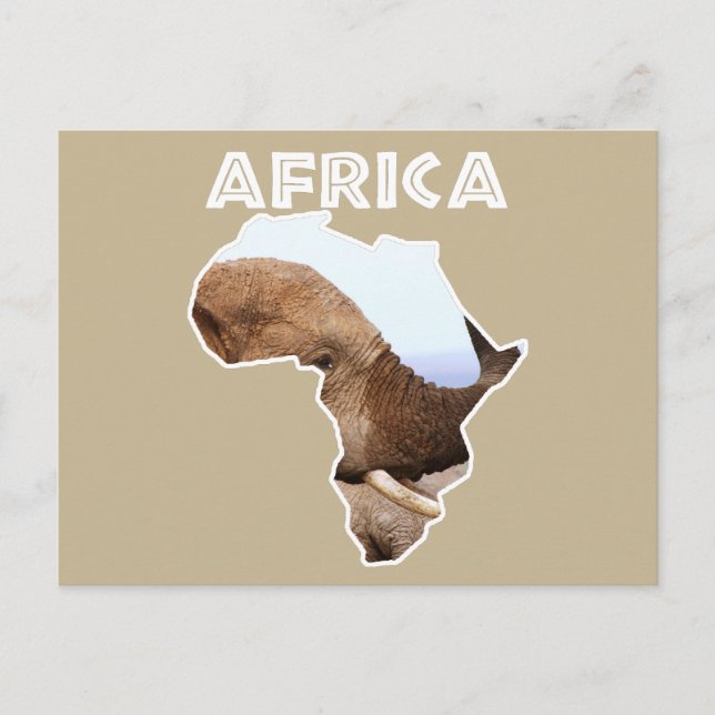 Africa Wildlife Continent Elephant Scents Holiday Postcard (Front)