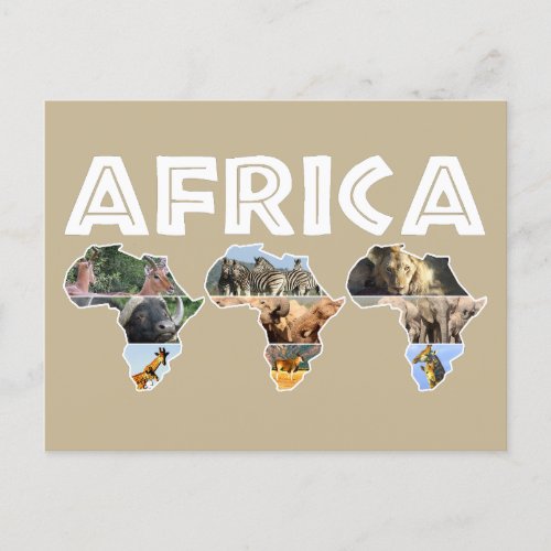 Africa Wildlife Continent Trio Collage Holiday Postcard