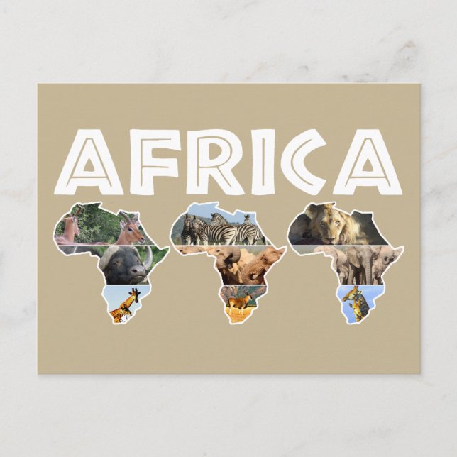 Africa Wildlife Continent Trio Collage Holiday Postcard (Front)