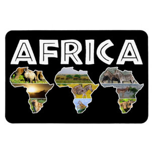 Africa Wildlife Continent Trio Collage Magnet