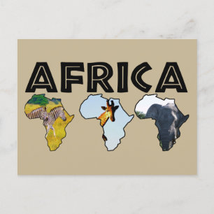 Africa Wildlife Continent Trio Holiday Postcard