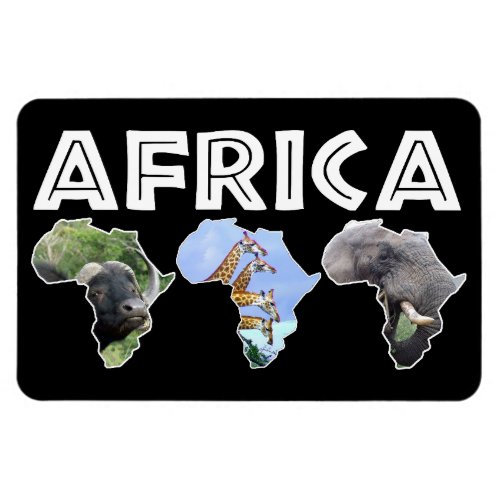 Africa Wildlife Continent Trio Magnet