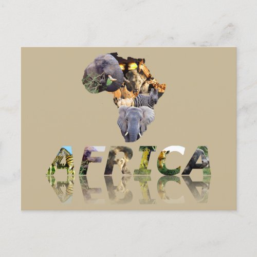 Africa Wildlife Continent with Africa Mirror Holiday Postcard