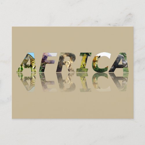 Africa Wildlife Mirror Holiday Postcard