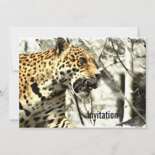 africa wildlife safari animal Wild Leopard Invitation