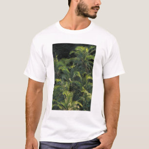Africa, Zambia, Mosi-Oa-Tunya National Park, T-Shirt
