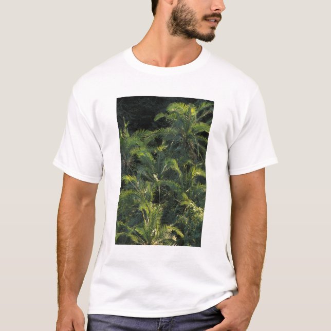 Africa, Zambia, Mosi-Oa-Tunya National Park, T-Shirt (Front)