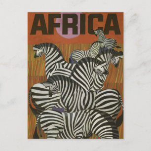 Africa Zebra Vintage Travel Postcard
