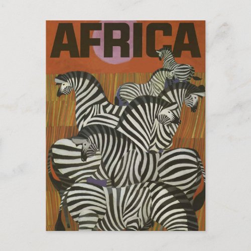 Africa Zebra Vintage Travel Postcard