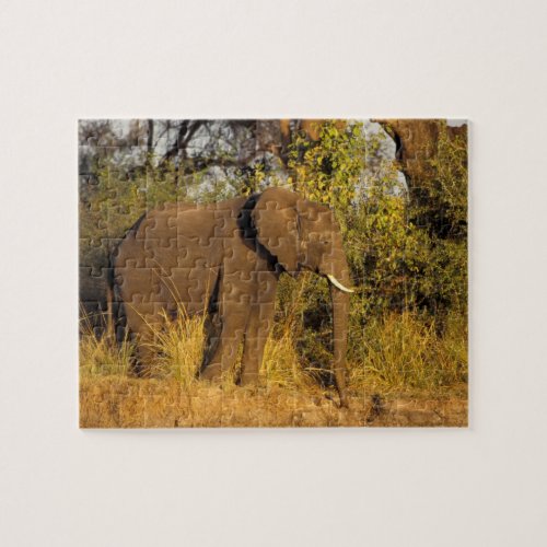 Africa Zimbabwe Victoria Falls National Park Jigsaw Puzzle