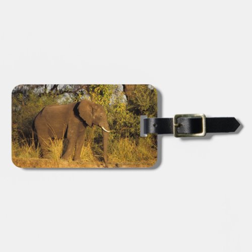 Africa Zimbabwe Victoria Falls National Park Luggage Tag