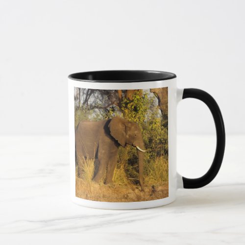 Africa Zimbabwe Victoria Falls National Park Mug