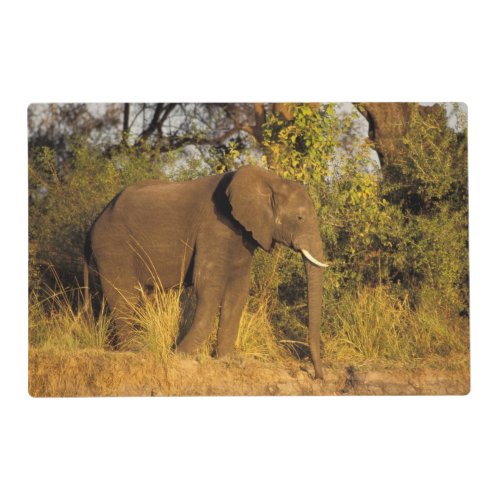 Africa Zimbabwe Victoria Falls National Park Placemat