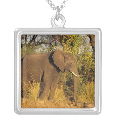 Africa Zimbabwe Victoria Falls National Park Silver Plated Necklace