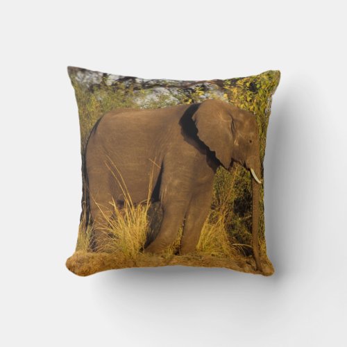 Africa Zimbabwe Victoria Falls National Park Throw Pillow